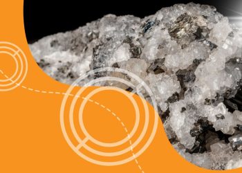 First-Ever Ring Made from Plant-Mined Metals Showcases Groundbreaking Phytomining Technology